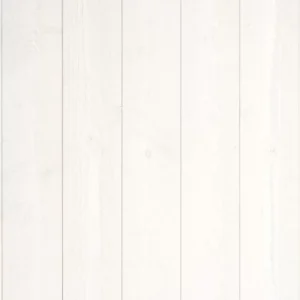 Lambris blanc intérieur pour studio de jardin Eco-Lodgy